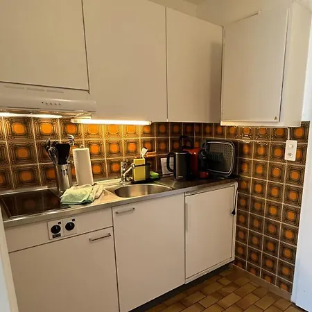 Residenza Corallo-7 By Interhome Apartment Ascona
